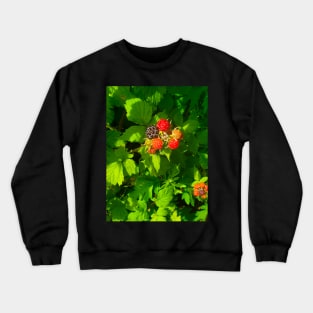 Wild Black Raspberries Crewneck Sweatshirt